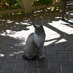 2019_OTRA_0106 (August 29, 2019)